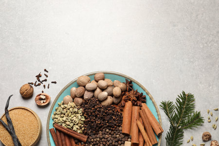 Different spices with nuts in bowls and fir branch on light gray textured table, flat lay. Space for...