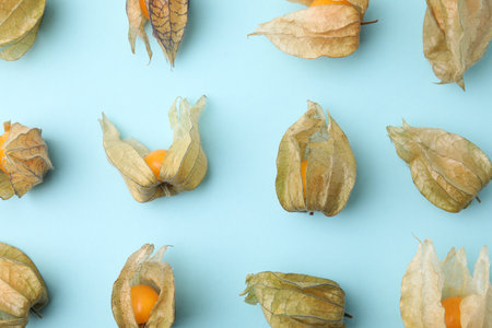 Ripe physalis fruits with calyxes on light blue background, flat layの写真素材