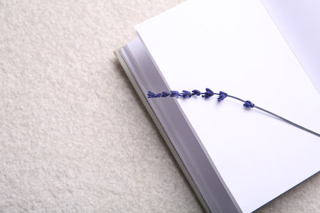 Preserved lavender flower and notebook on white textured table, space for text