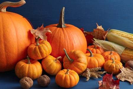 Thanksgiving day. Composition with pumpkins on blue wooden table, closeupの写真素材