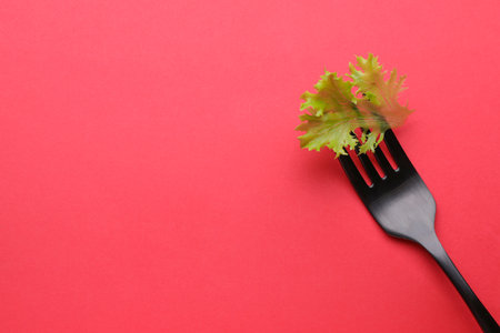 Fork with lettuce leaf on red background, top view and space for text. Diet conceptの写真素材