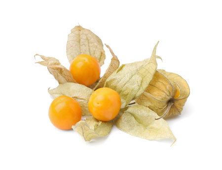 Many ripe physalis fruits with calyxes isolated on whiteの写真素材