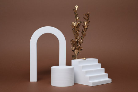 Autumn presentation for product. White geometric figures and golden branch with leaves on brown backgroundの写真素材