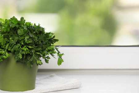 Aromatic parsley growing in pot on window sill. Space for textの写真素材