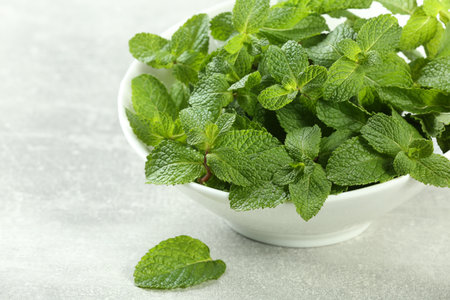 Bowl with fresh green mint leaves on gray table. Space for text