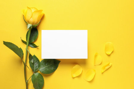 Beautiful rose, petals and blank card on yellow background, flat lay. Space for textの写真素材