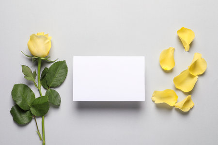 Beautiful yellow rose, petals and blank card on light gray background, flat lay. Space for textの写真素材