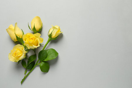 Beautiful yellow roses on light gray background, flat lay. Space for textの写真素材