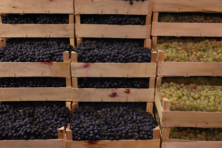 Fresh ripe grapes in wooden crates at wholesale marketの写真素材
