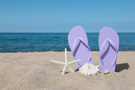 Stylish violet flip flops, starfish and seashells on beach sand, space for textの写真素材
