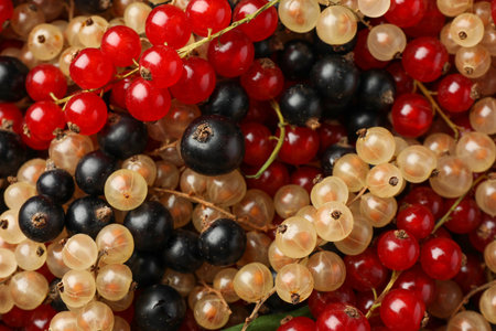 Different fresh ripe currents as background, top viewの写真素材