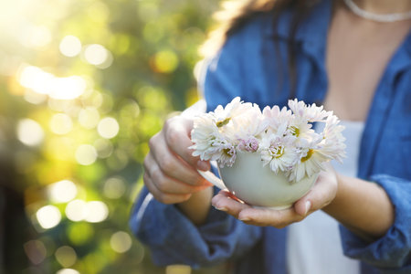 Woman holding cup with beautiful white chamomile flowers outdoors, closeup. Space for textの写真素材