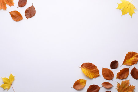 Dry autumn leaves on white background, flat lay. Space for text