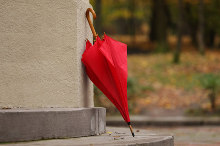 Autumn atmosphere. One red umbrella in parkの写真素材