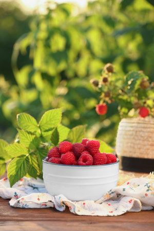 Tasty ripe raspberries in bowl, green leaves and straw hat on wooden table outdoors, space for textの写真素材