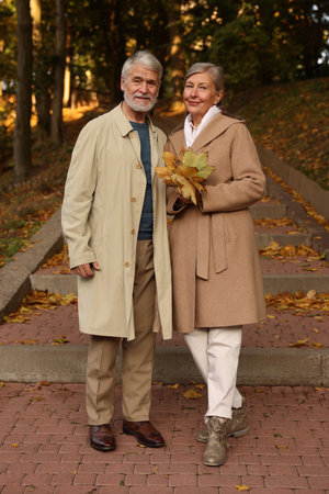 Affectionate senior couple with dry leaves in autumn parkの写真素材