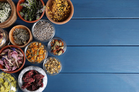 Many different medicinal herbs in bowls on blue wooden table, flat lay. Space for textの写真素材