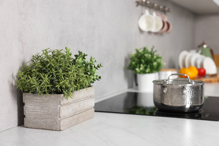 Potted artificial plants on white countertop in kitchenの写真素材