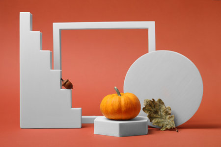 Stylish presentation for product. White geometric figures and autumn decoration on coral backgroundの写真素材