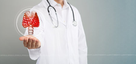Endocrinologist holding virtual thyroid gland on light gray background, closeup. Banner design with space for textの写真素材