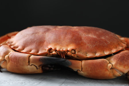 Delicious boiled crab on gray textured table, closeupの写真素材