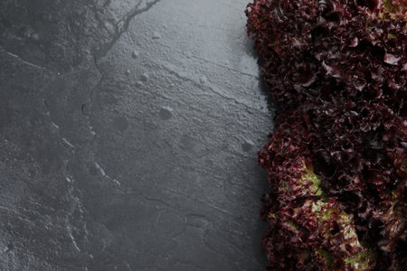 Fresh red coral lettuce on gray table, top view. Space for textの写真素材