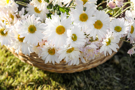 Beautiful wild flowers in wicker basket on green grass outdoors, above viewの写真素材
