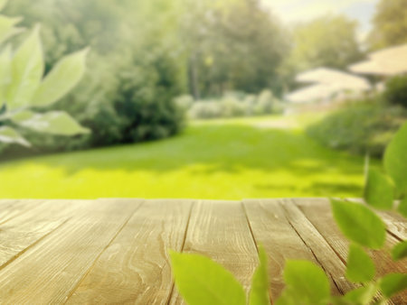 Empty wooden table in garden on sunny day. Space for designの写真素材