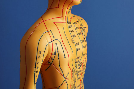 Acupuncture - alternative medicine. Human model with dots and lines on blue backgroundの写真素材