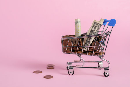 Small metal shopping cart with money on pink background, space for textの写真素材