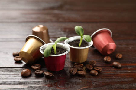 Coffee capsules, seedlings and beans on wooden table, closeupの写真素材