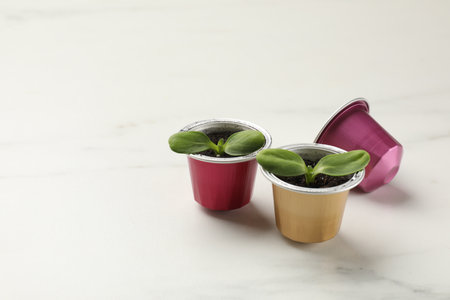 Coffee capsules with seedlings on white marble table, space for text
