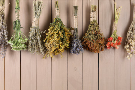 Bunches of different medicinal herbs hanging on wooden background. Space for textの写真素材
