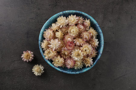 Bowl with dried strawflowers on gray table, flat layの写真素材