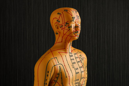 Acupuncture model. Mannequin with dots and lines on black backgroundの写真素材