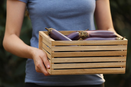 Woman holding wooden crate with ripe eggplants on blurred green background, closeupの写真素材