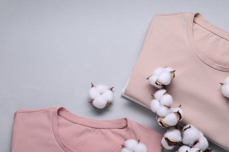 Cotton branch with fluffy flowers and t-shirts on light gray background, flat lay. Space for textの写真素材