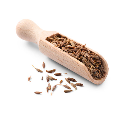 Scoop of aromatic caraway (Persian cumin) seeds isolated on whiteの写真素材