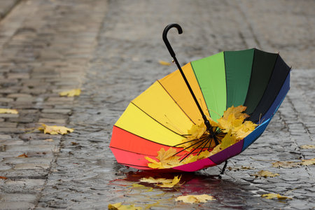 Open colorful umbrella with fallen leaves on wet pavement. Space for textの写真素材