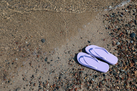 Stylish violet flip flops on beach pebbles, above view. Space for textの写真素材