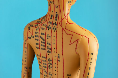 Acupuncture - alternative medicine. Human model with dots and lines on light blue backgroundの写真素材