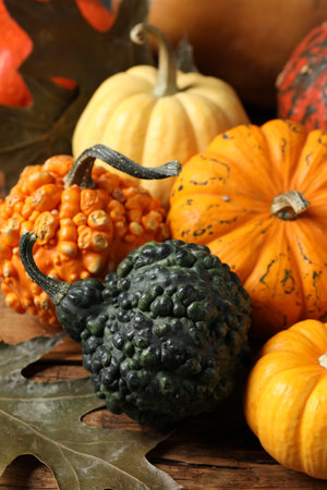Thanksgiving day. Many different pumpkins and dry leaves on wooden table, closeupの写真素材