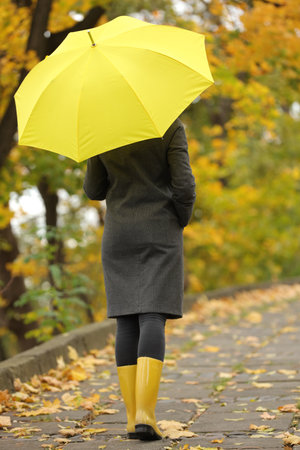 Woman with yellow umbrella walking in autumn park, back viewの写真素材