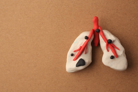 Human lungs made of plasticine on light brown background, top view and space for text. Respiratory disease conceptの写真素材