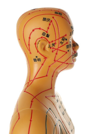 Acupuncture - alternative medicine. Human model with dots and lines isolated on whiteの写真素材