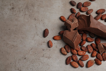 Pieces of tasty milk chocolate and cocoa beans on gray table, above view. Space for textの写真素材