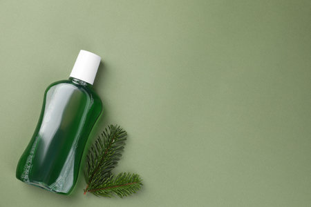 Fresh mouthwash in bottle and fir branches on green background, top view. Space for textの写真素材