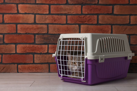 Travel with pet. Cute cat in carrier on floor near brick wall, space for textの写真素材