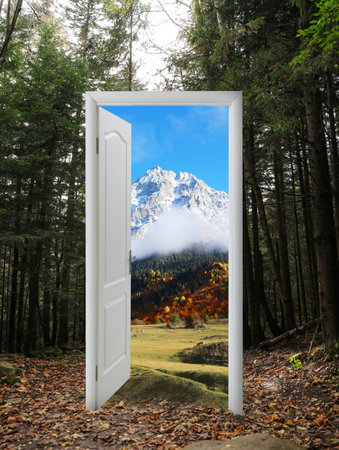 Beautiful mountain landscape visible through open door amidst forest