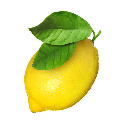 Fresh ripe lemon with green leaves isolated on whiteの写真素材